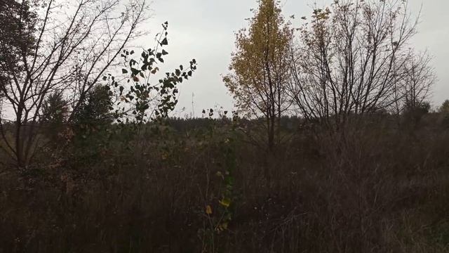 В КАКУЮ СТОРОНУ ПРАВИЛЬНО СПАТЬ ГОЛОВОЙ... смотреть онлайн