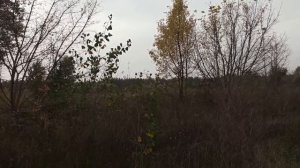 В КАКУЮ СТОРОНУ ПРАВИЛЬНО СПАТЬ ГОЛОВОЙ...