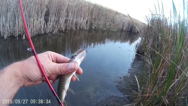 На Рыбалке!!! смотреть онлайн