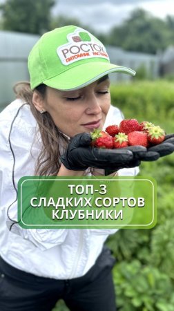 Самые вкусные сорта клубники 🍓 #клубника #саженцы #питомникрастений