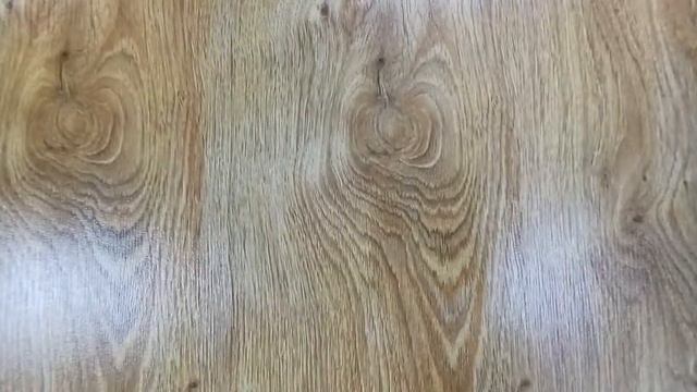 Новое видео. Дуб северный, код 8635. Видео-образец от магазина Вирадор. смотреть онлайн