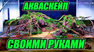 Запуск акваскейпа своими руками для выставки 2024 года.