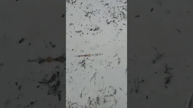 Тест с болтиками
