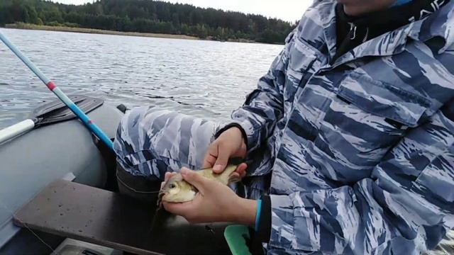 СЕКРЕТЫ ЛОВЛИ КАРАСЯ НА ОЗЕРЕ АНБАШ, ОКОЛО КЫШТЫМА, ТОНКОСТИ И НЮАНСЫ РЫБАЛКИ. РЫБАЛКА, УРАЛ - 2021