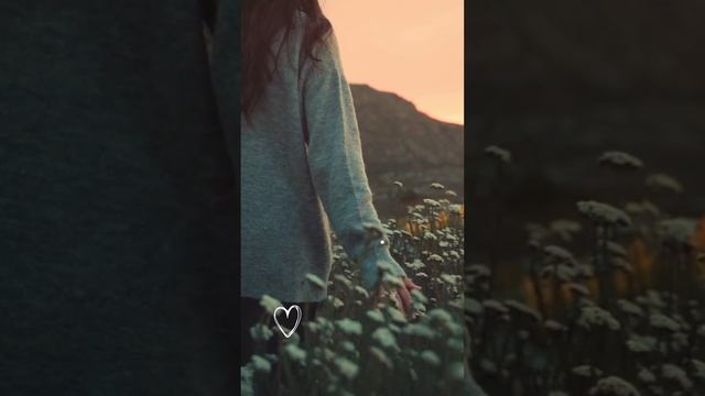 Путь Души #shorts смотреть онлайн