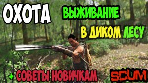 ВЫЖИВАНИЕ В ДИКОМ ЛЕСУ С ЭЛЕМЕНТАМИ ОХОТЫ В SCUM. #scum #скам #выживание #охота