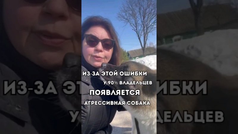 Из-за этой ошибки у 90% владельцев появляется агрессивная собака#дрессировка