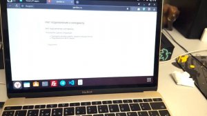 Обзор  Ubuntu 24.04 LTS / Kali - Linux  на MacBook 12 2017 |  Проблемы, опыт