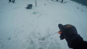 Ловля форели со льда на классическом Безлимите | Денис Вихров