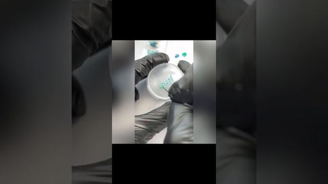 Дизайн на ногтях. Мастер класс #градиент #стемпинг #графити от Ольги Непочатовой @nepochatova_schoo