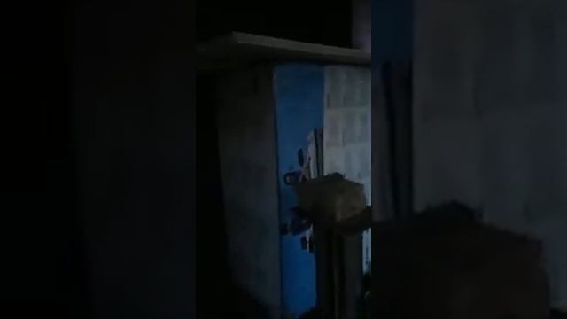 Дымогенератор в работе