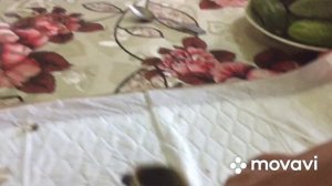 Утята от канала @Korvin_Leo подросли/Для чего меняем кольца-метки на лапках