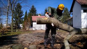 Бензопила STIHL MS 201 TC-M