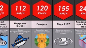 Сравнение скорости. Кто быстрее всех в мире?