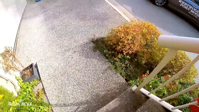 В МАГАЗИН ЗА ПРОДУКТАМИ В АМЕРИКЕ КАНАДЕ * ОТЗЫВЫ О ЖИЗНИ В КАНАДЕ смотреть онлайн