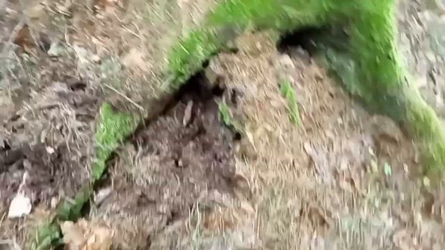 Верховой кислый торф, ещё один способ поиска смотреть онлайн