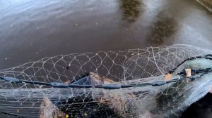 ОСЕННЯЯ РЫБАЛКА НА КАСТИНГОВУЮ СЕТЬ С ЛОДКИ. В ПОИСКАХ ТРОФЕЙНОЙ РЫБИНЫ.