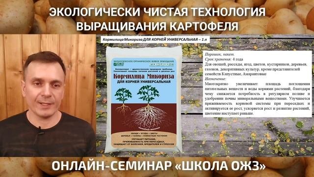 Не сажайте картофель, пока не посмотрите эту трансляцию! Школа ОЖЗ