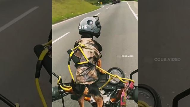 Призрачный гонщик ?
