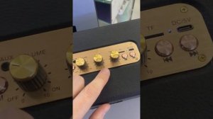 Обзор колонки Marshall M13
