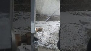 стяжка дома  шлаконаливной дом готов к затяжке