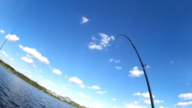 Ловля окуня и судака на легкий джиг с лодки. Рыбалка в Минске. смотреть онлайн