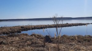 Нижняя Тура