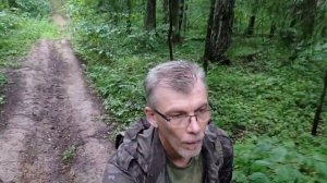 После урагана в лесу