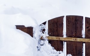 Забор зимой (попытка).