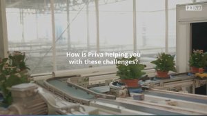 KP Holland on greenhouse climate control and water management | Priva