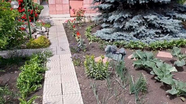 Сад мечты...2020. Идеальный сад моей мамы... смотреть онлайн