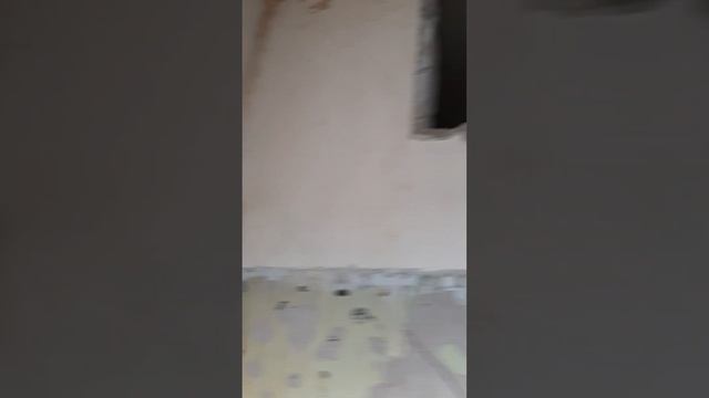 Побелка Как это было.... смотреть онлайн