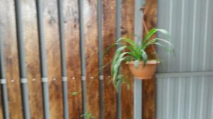 ЗАБОР СВОИМИ РУКАМИ. КРАСИВЫЙ ЗАБОР.