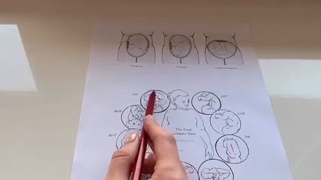Как мне самой узнать положение ребёнка в животе?
