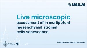 Live microscopic assessment of in multipotent mesenchymal stromal cells senescence