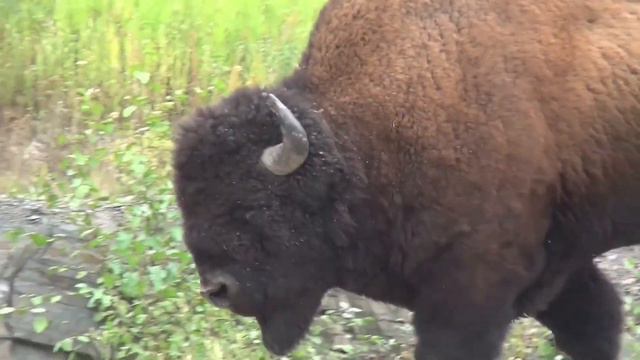 Взлетевши высокобывает больно падать