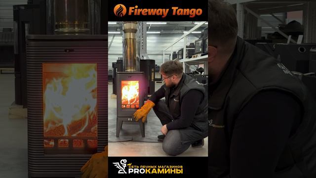 ОБЗОР ПЕЧИ FIREWAY TANGO НОВИНКА 2024 ГОДА + РЕГУЛИРОВКА ГОРЕНИЯ №9 #камин #печь #печькамин #fire4k