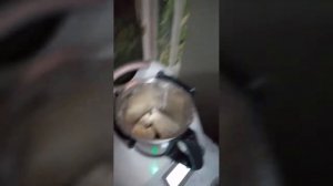 Очень вкусные сырники в термомиксе! ? ? ?