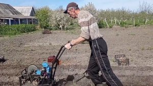 Сажаем картошку под окучник