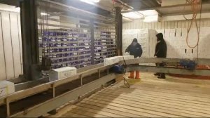 Далькреветка Промысел