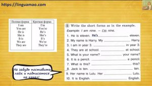 Spotlight (английский в фокусе) 3 класс Грамматический тренажер страница 6 номер 5 ГДЗ решебник