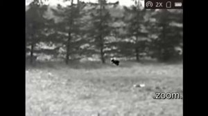 Как видит тепловизор HIKMICRO LYNX L15