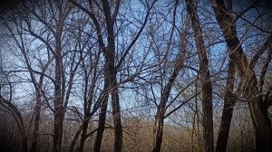 Как моя мама и сестра пытались выгнать меня из моей квартиры, которую я сама купила