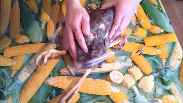 Как быстро ощипать утку вручную. Деревенские будни. смотреть онлайн