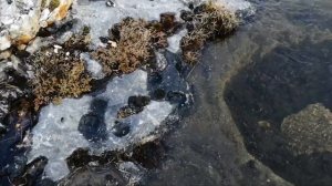 Норвегия остров за полярным кругом и орлы / Norway behind polar cirсle Nordarnøya eagle's / Norwegi