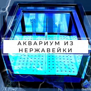 Аквариум из нержавеющей стали
Профессиональная морская витрина для содержания морепродуктов.