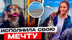 2 суток в поезде с обезьянкой и 6 собаками| Отмечаю свой ДР| ТАКСИЧНАЯ