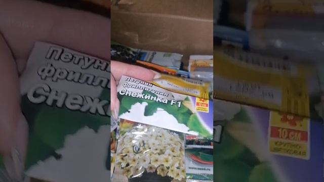 Готовлюсь к посадкам цветов, делаю ревизию семян☝️ смотреть онлайн