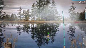 MY FISHING WORLD/ËРШ ОБЫКНОВЕННЫЙ/БЕЗ прилова