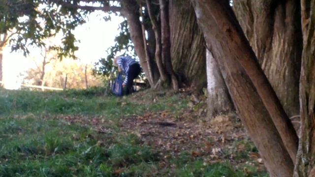 Словения_за каштанами.mp4 смотреть онлайн